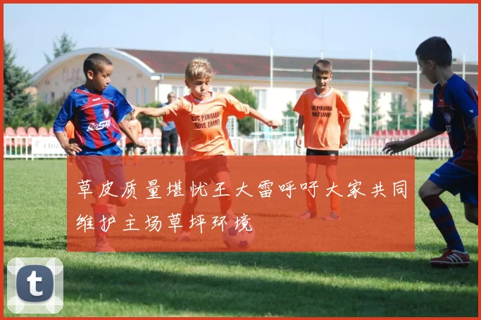 草皮质量堪忧王大雷呼吁大家共同维护主场草坪环境