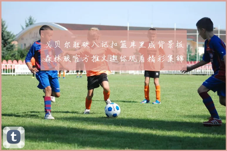 戈贝尔狂砍八记扣篮库里成背景板森林狼官方推文邀你观看精彩集锦