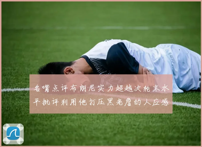名嘴点评布朗尼实力超越次轮末水平批评利用他打压黑老詹的人应感羞愧